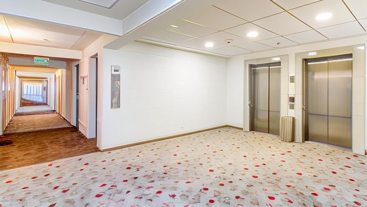 이비스 푸에르토 몬트