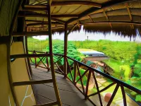 Raízes Eco Hostel Hotels in Cajueiro da Praia