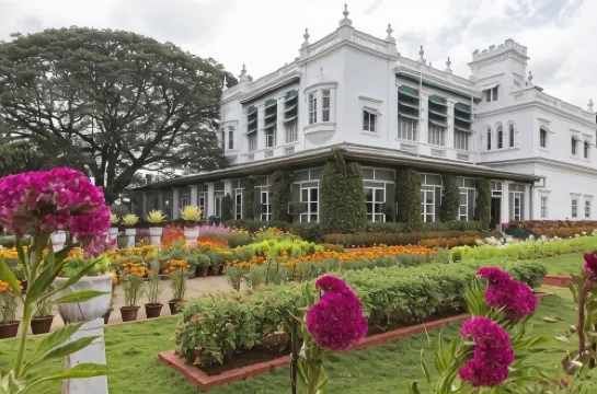 The Green Hotel
