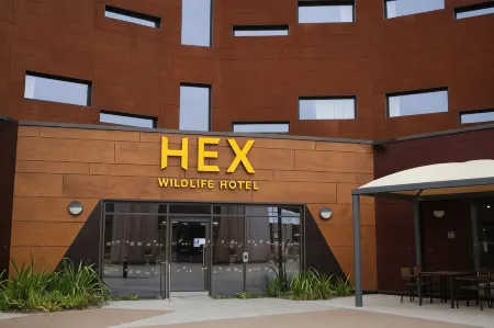 Hex Wildlife Hotel at Yorkshire Wildlife Park