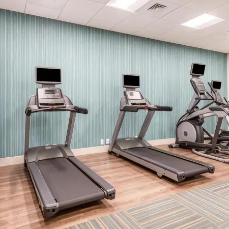 Holiday Inn Express & Suites OTTAWA by IHG