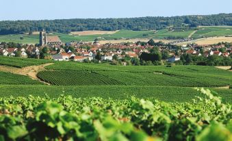 Logis le Relais Champenois