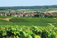 Logis le Relais Champenois Hotels in Bethon