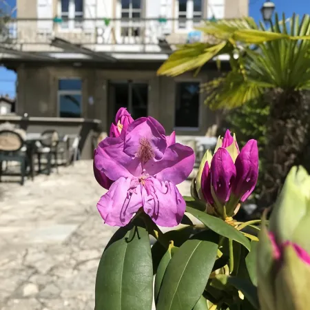Hôtel des Bains