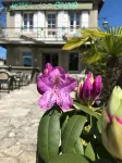 Hôtel des Bains
