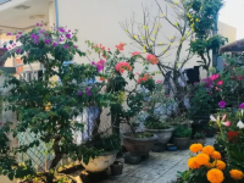 Homestay Loan Anh Hotels in Ly Son