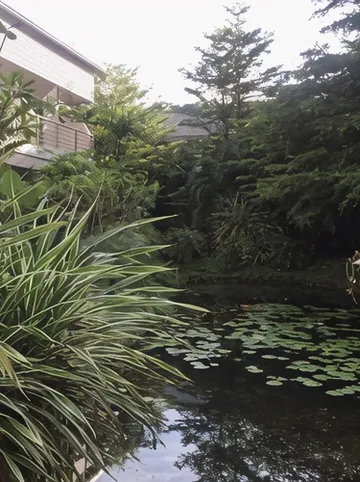 รูปภาพของภูกมลา สวีท