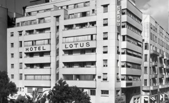 Lotus Hotel Cairo