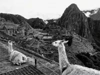 Picos House MachuPicchu