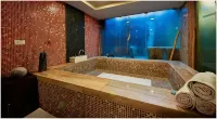 Hotel Aura - New Delhi Railway Station Hotels in New Delhi