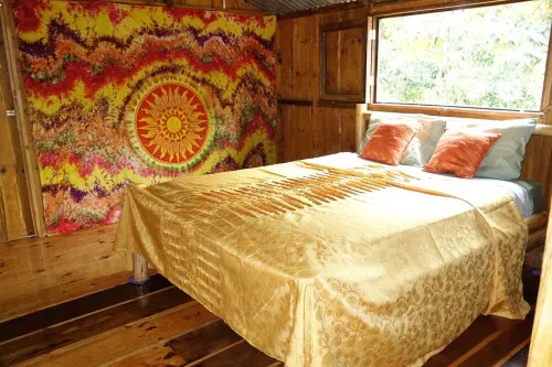 Bungalow in the jungle Hotel a Turrialba