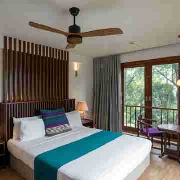 Birds Park Polgahawela Rooms