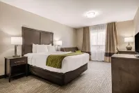 Comfort Inn & Suites Hotels in Sylvan Lake