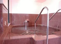 Tachikawa Urban Hotel - Hot Tub