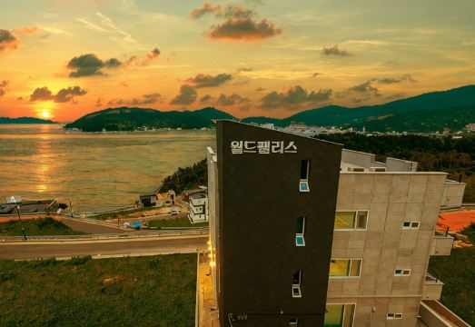 巨济 월드팰리스펜션(World Palace Pension) 4星级 酒店 客房