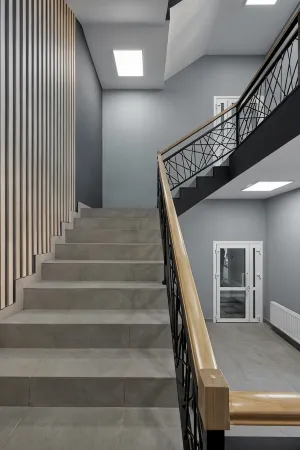 Демидовъ Отели в г. Людиново