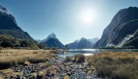 Milford Sound Overnight Cruise - Fiordland Discovery - bar