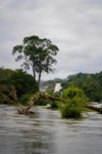 Riverok Resorts Hotels in Pariyaram