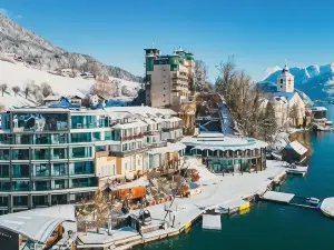 Scalaria Sunset Wing