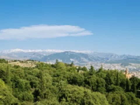 Apartamentos Las Tuyas 3000