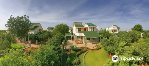 Pragati Green Meadows and Resort - Pools