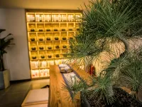 QIANNA HOTEL Bianyuan (Qingming Shangheyuan Branch) Hotels in Kaifeng
