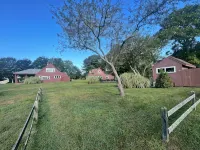 Walk to Mansion Beach, Large Yard!