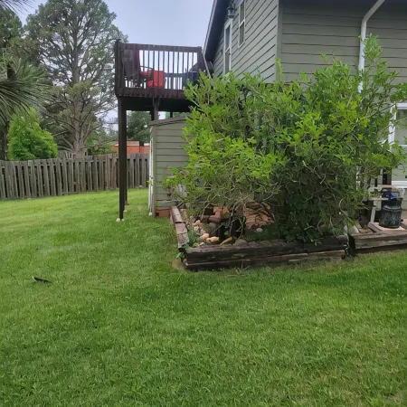 Beautiful & Comfy CABIN Retreat with abundant wildlife, WIFI and AC