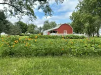 The Little Red Barn - 2-Star