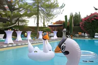 Le Safari Hotel Restaurant - Pool
