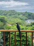 Beachfront Community Ocean View 2Br/2Ba in Los Almendros, Playa Ocotal - 2 星級