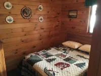 Waterfront 3 Bedroom Cottage on Beautiful Lake Nokomis - Wi-Fi