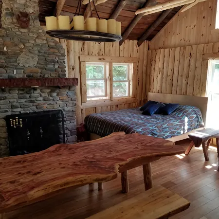 PET-FRIENDLY - Twilight Cabin a Unique Waterfront Log Cabin Отели в г. Джонсберг