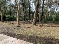 Maison Dans Residence Calme Avec Piscines Pres VIE Animee - Homestays