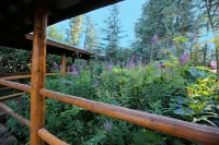 Unique Alaskan log home in trees & wild flowers on 14-acre private homestead.