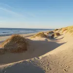 Cozy apartment near the sea, beach and dunes. Have a nice holiday! - Homestays