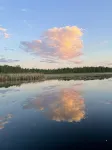 Beautiful Tent at Camp Northern Lights! - Homestays