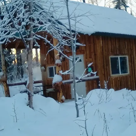 One bedroom cabin with inside toilet and stand up loft.  PET FRIENDLY!