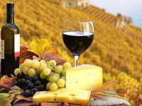 Hunter Valley Motel Hotels in Cessnock