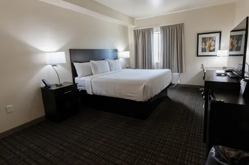 Cobblestone Hotel & Suites-Sheldon - Bar