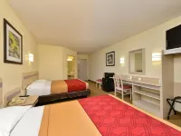 Econo Lodge Hotels in Belle Fourche