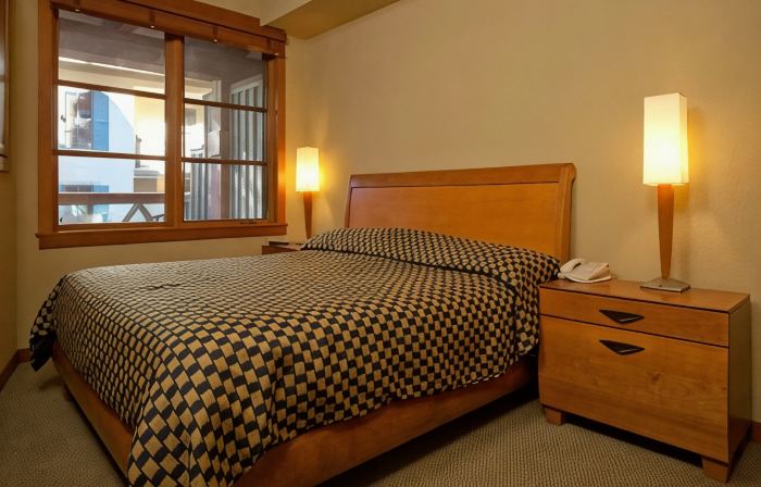 Village at Palisades Ski-in Ski-Out One Bedroom Condo Mt. View Unit -2nd Floor