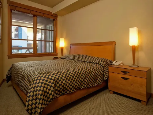 Village at Palisades Ski-in Ski-Out One Bedroom Condo Mt. View Unit -2nd Floor