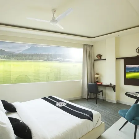 Mohan Tulip Hotel
