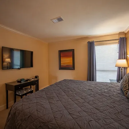 Walk In Level - Beautiful/Clean/Recently Remodeled 1BD/1BA at Pointe Royale