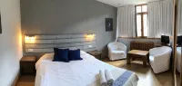 Hotel Torrecerredo - Parkplatz