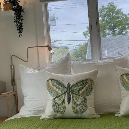 Newly renovated house in Brandt Point, right near town and Children's Beach