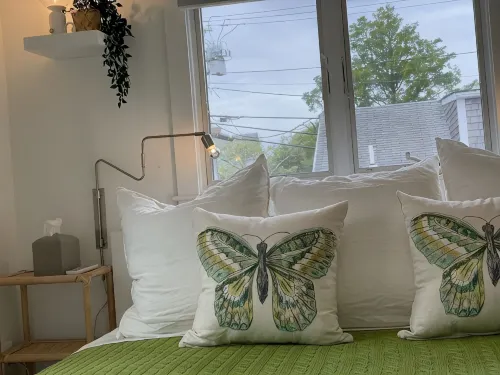 Newly renovated house in Brandt Point, right near town and Children's Beach - キッチン