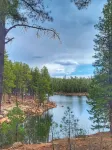 Private Mountain Retreat with room to roam! Horses welcome! - Hytter