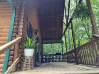 Beautiful cabin in the woods. - Alppimaja